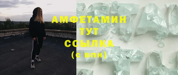 стаф Алексин