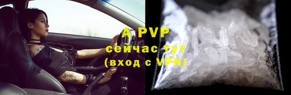 apvp Алзамай