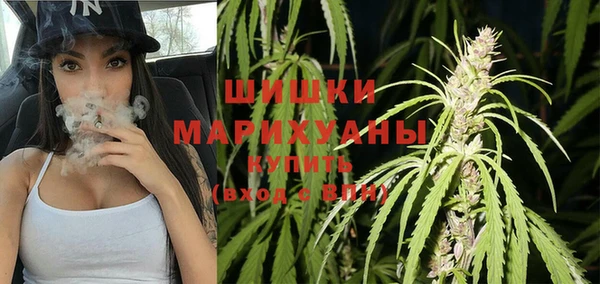 apvp Алзамай