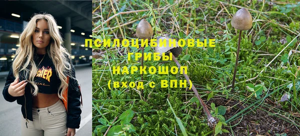 метадон Алексеевка