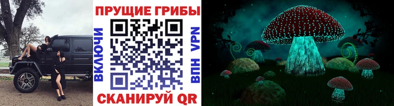 Галлюциногенные грибы Psilocybine cubensis  Старая Купавна 